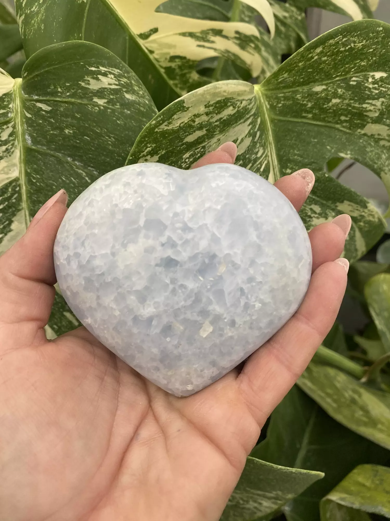 plant/PSS-0082 Blue Calcite Heart-0