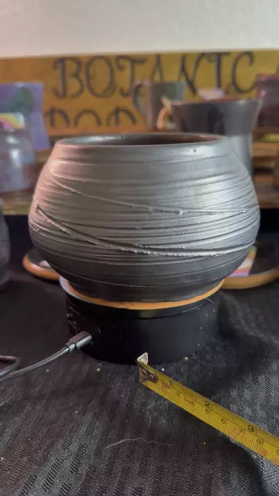 plant/4x3.5 pot #52-0-thumbnail