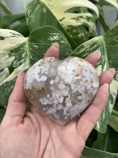 plant/PSS-0078 Flower Agate Heart-0-thumbnail