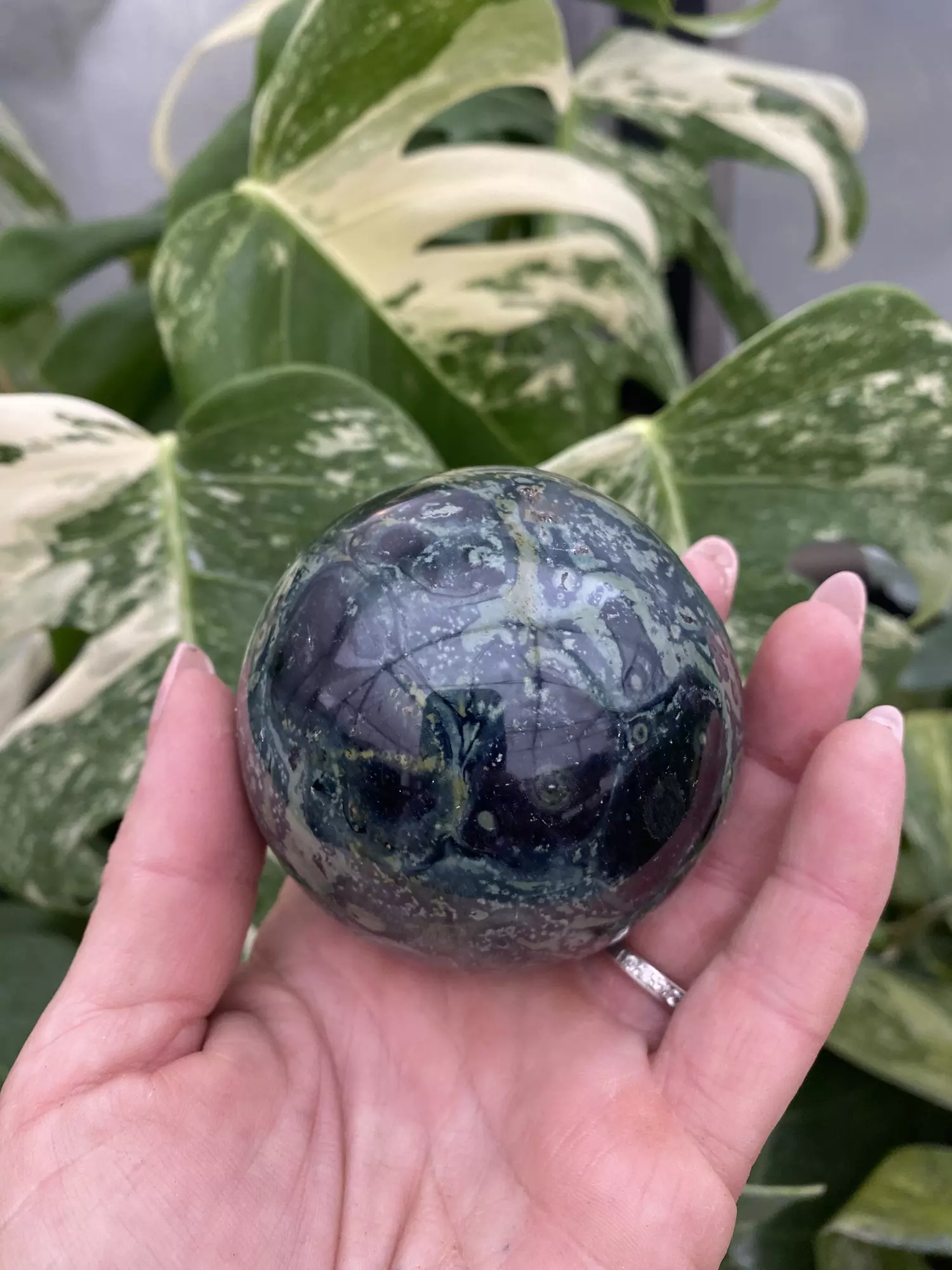 plant/PSS-0091 Kambaba Jasper Sphere-0