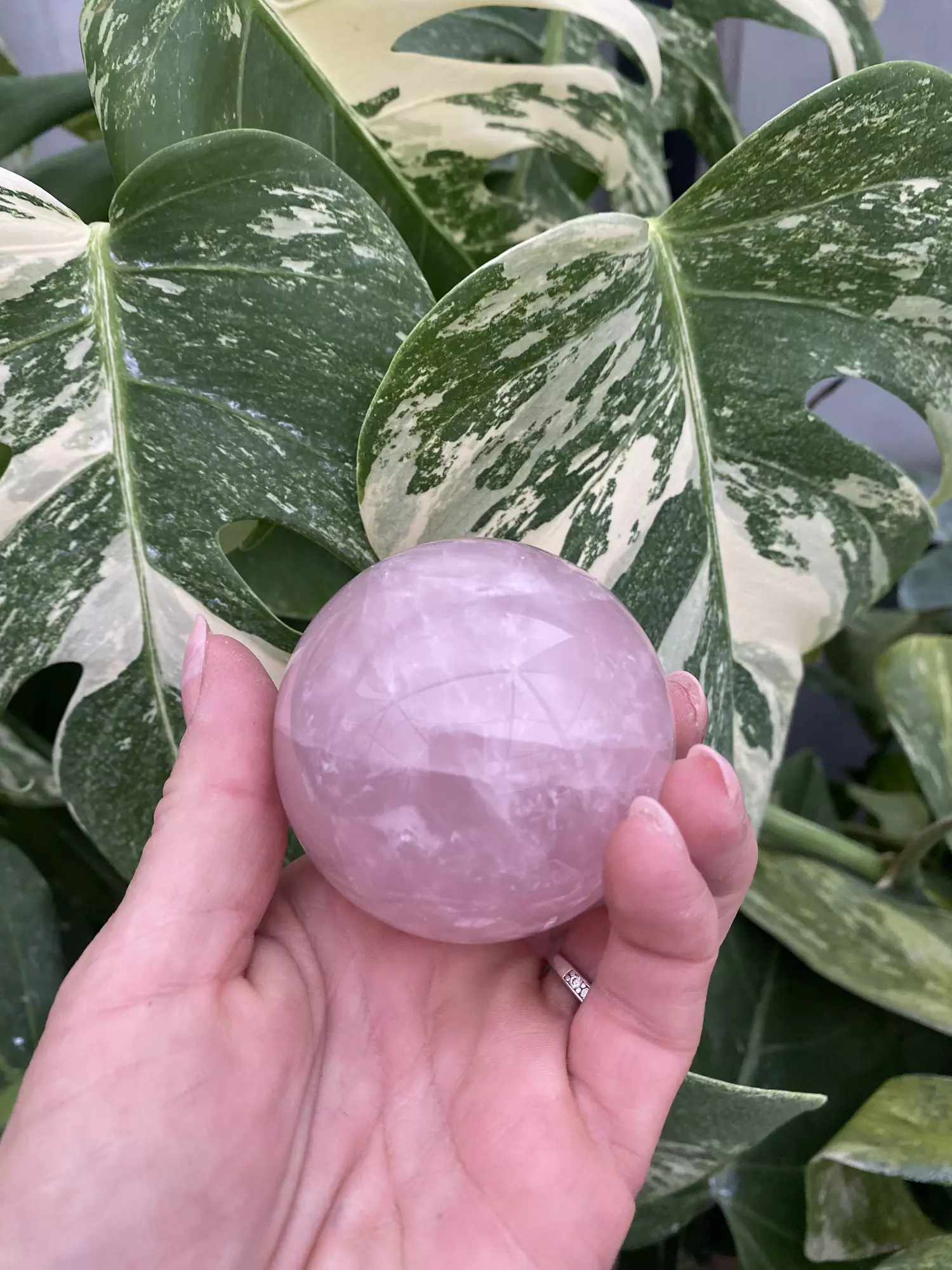 plant/PSS-0088 Rose Quartz Sphere -0