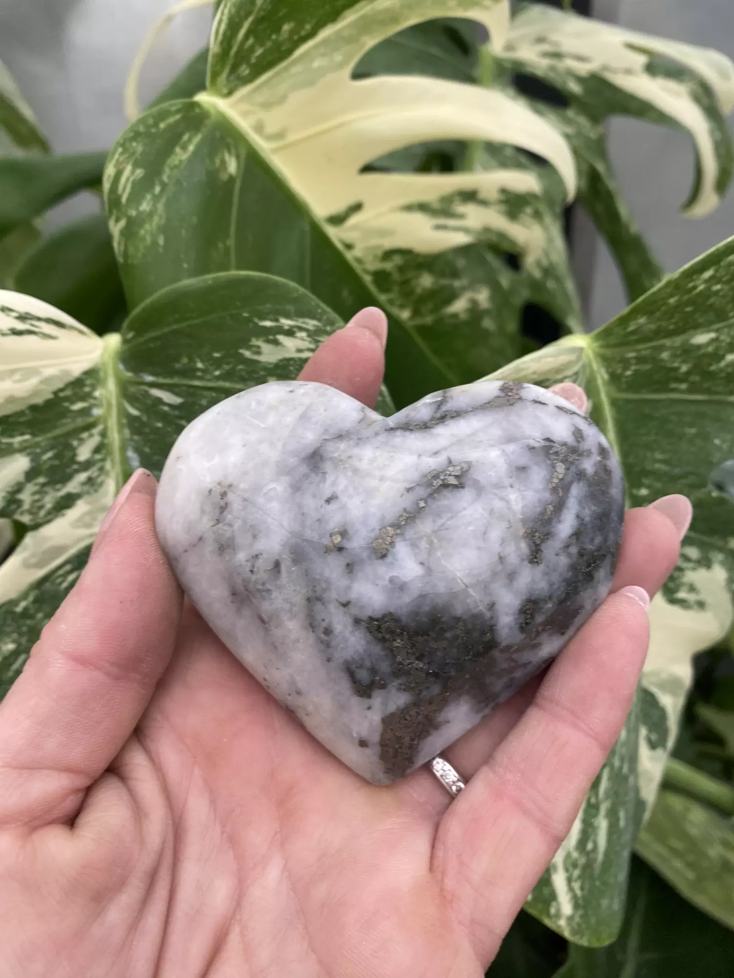 plant/PSS-0078 Jasper & Pytite Heart-0