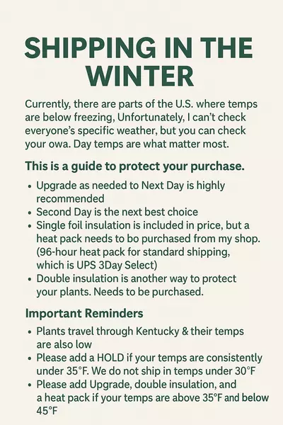 plant/IMPORTANT ** Weather packing disclaimer do not buy**-0-thumbnail