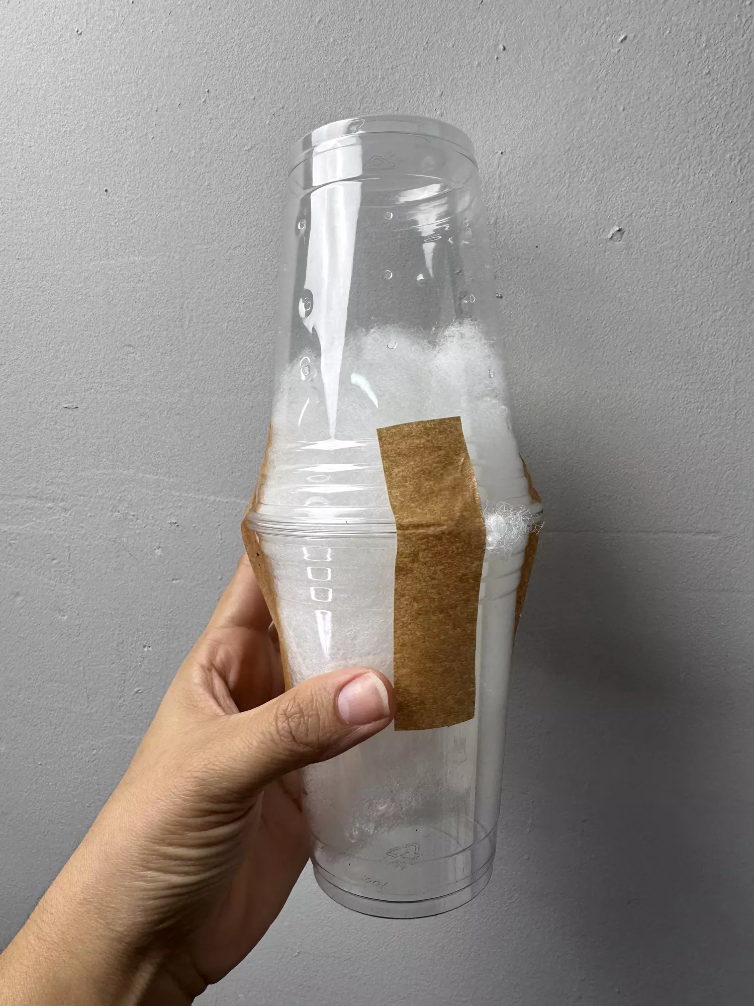 plant/Dome my plant (per plant)-0