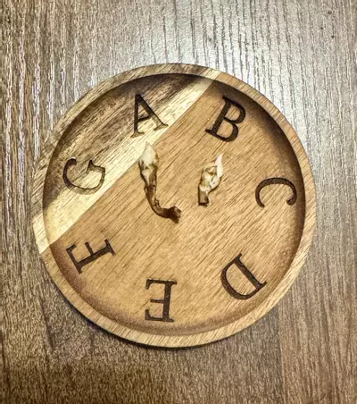 plant/Alocasia Pink Pseudo Sanderiana corm “B” (mama NFS)-1-thumbnail