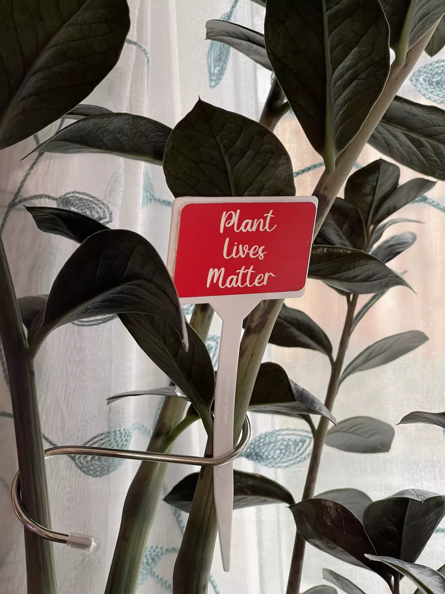 plant/“Plant Lives Matter” laser-engraved Plant Sign-0