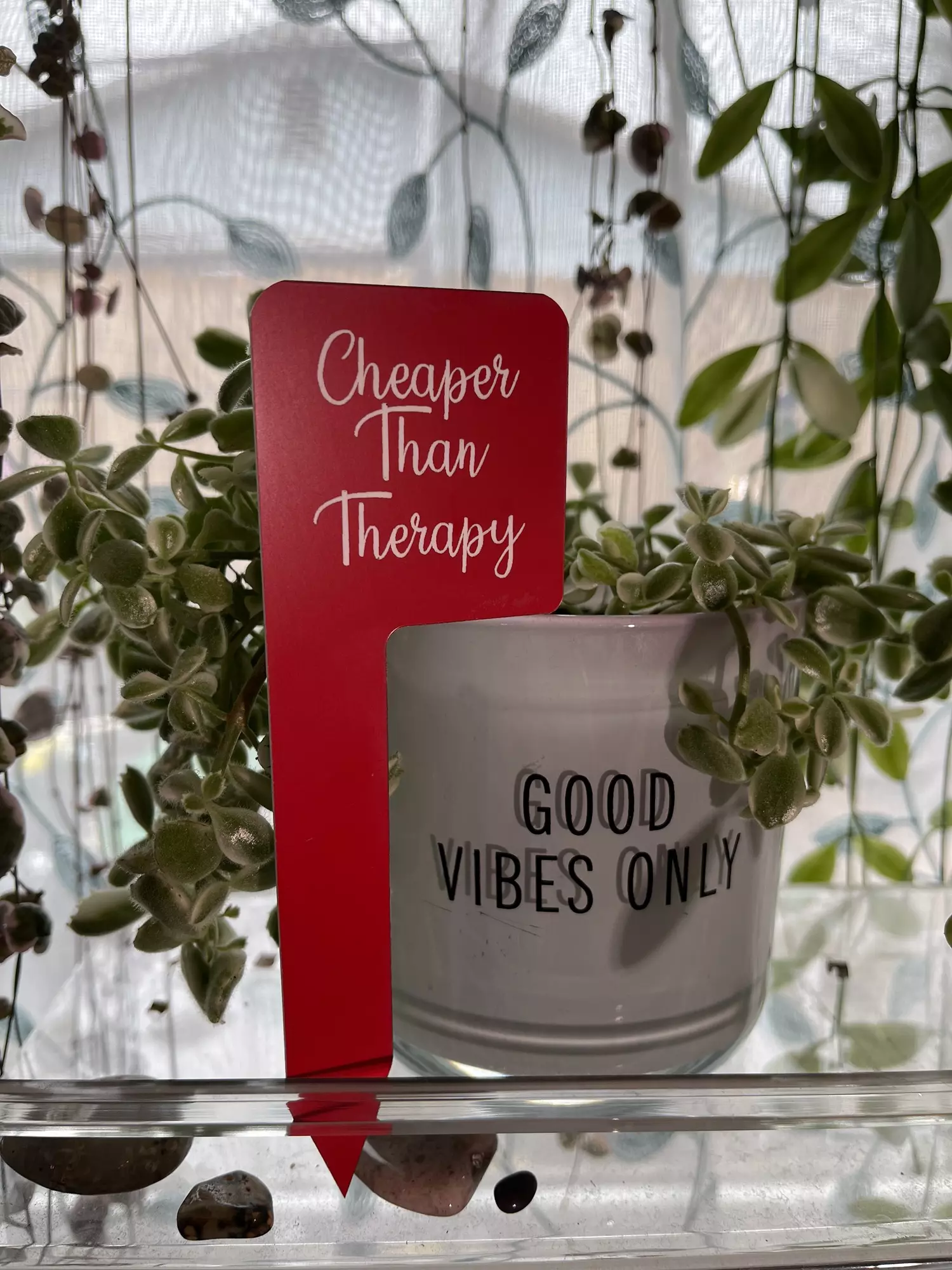 plant/“Cheaper Than Therapy” laser-engraved Plant Sign-0