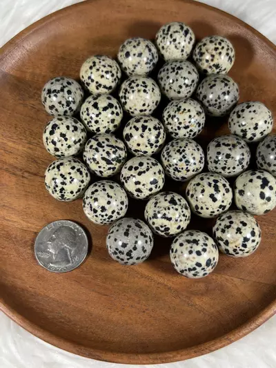 plant/1 Dalmatian Jasper Sphere-0-thumbnail