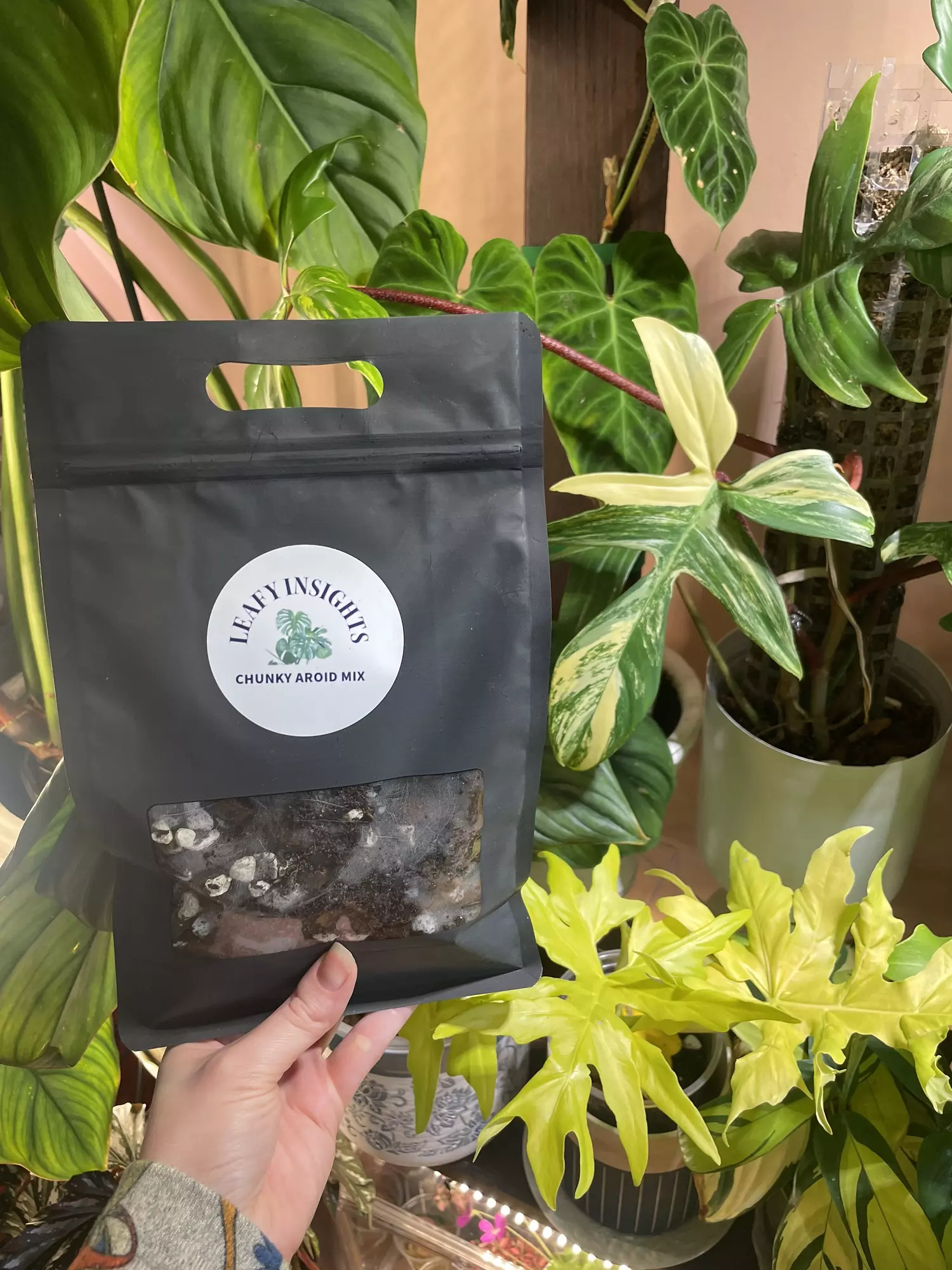 plant/Chunky Aroid Mix 1/2 gallon w/tree fern, pine bark, coco chips, perlite, pumice, charcoal-0