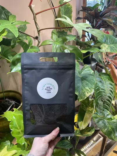 plant/Tree Fern Fiber Fernwood Half Gallon 15oz-0-thumbnail