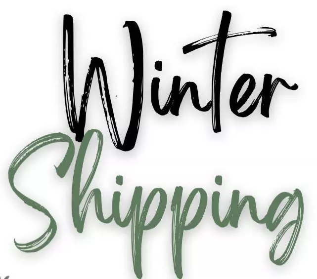 plant/Winter Shipping-0