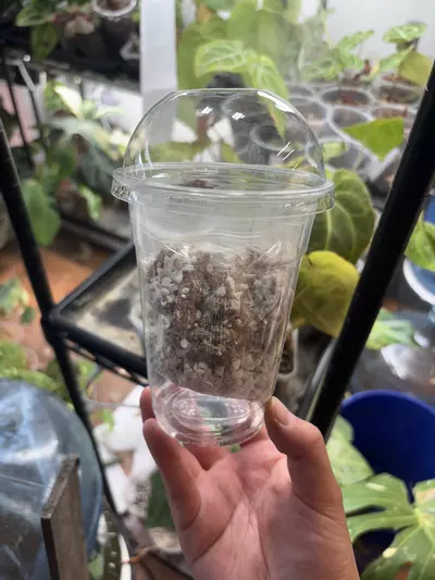 plant/TC Acclimation Kit (w/ Moss and Perlite)-0-thumbnail