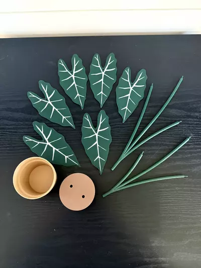 plant/Alocasia frydek coaster set-4-thumbnail