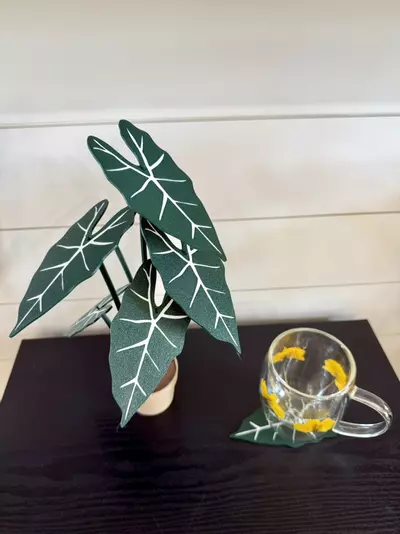 plant/Alocasia frydek coaster set-3-thumbnail