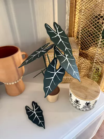 plant/Alocasia frydek coaster set-0-thumbnail