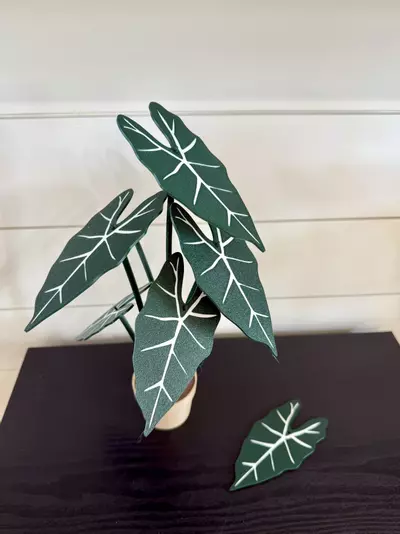 plant/Alocasia frydek coaster set-2-thumbnail