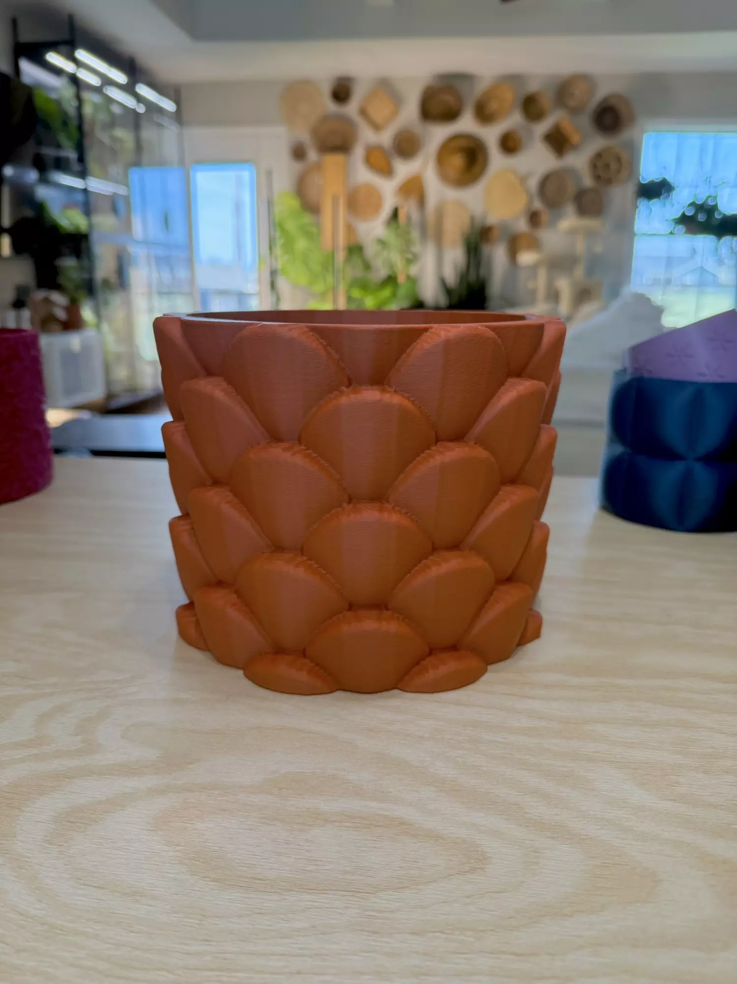 plant/8in dragonscale pot- rust  -0