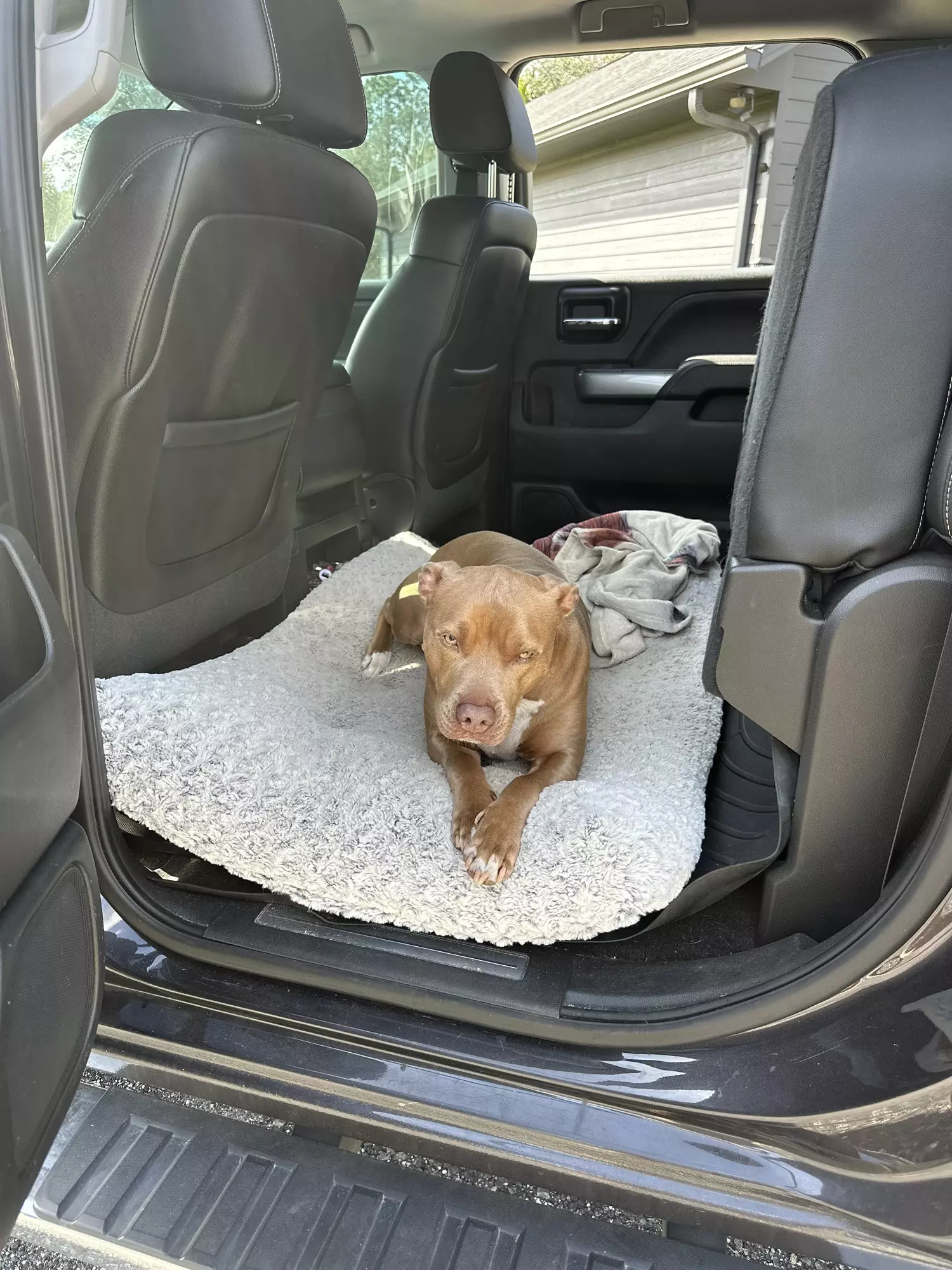 plant/Expedited shipping-0