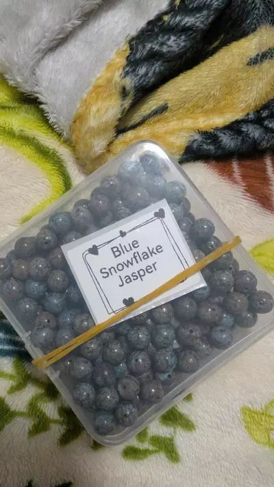 plant/Blue Snowflake Jasper -0-thumbnail