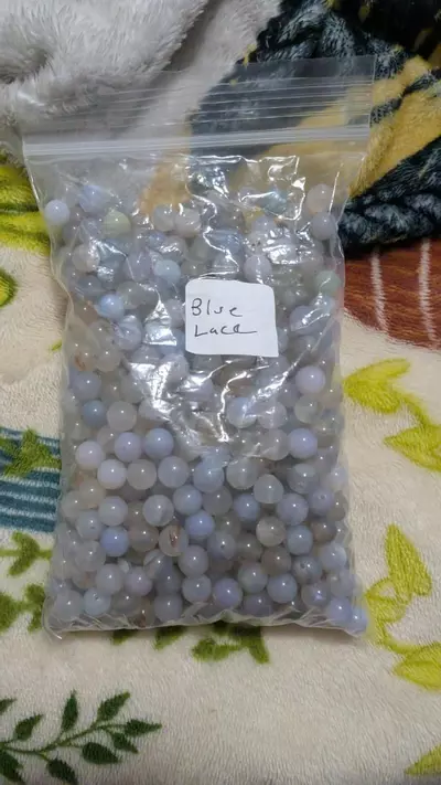 plant/Blue Lace-0-thumbnail