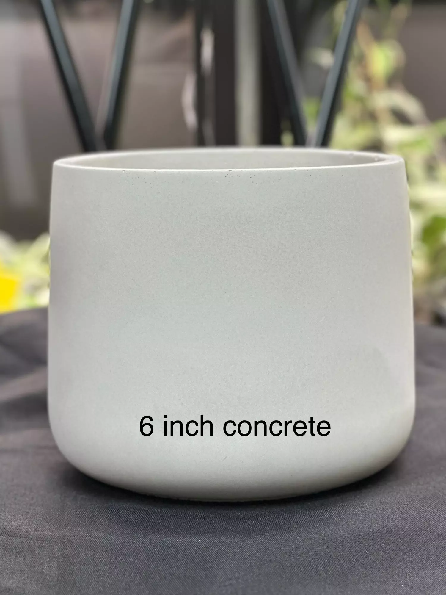 plant/Custom 6 inch concrete pot. Ask for drainage!-0