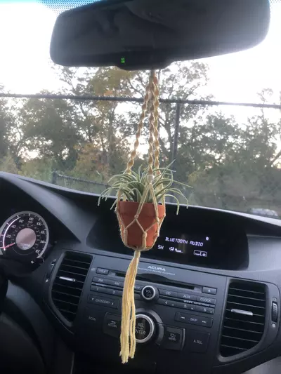 plant/Macramé Plant Hanger with Faux Plant-0-thumbnail