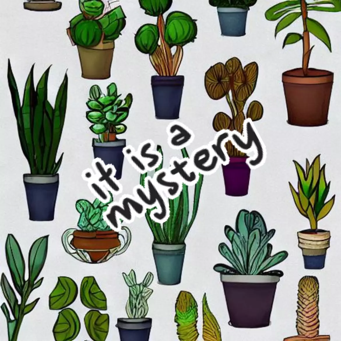 plant/Mystery Plant-0