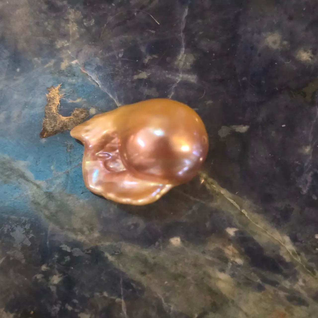 plant/Drilled fireball natural pearl-0