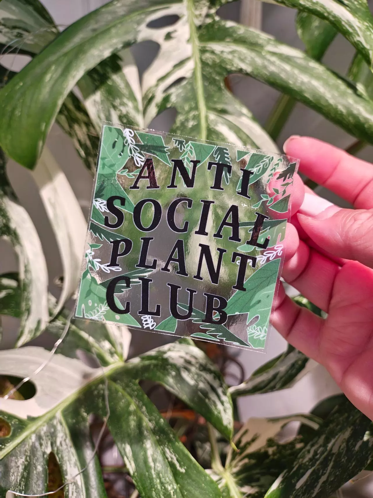 plant/Anti Social Plant Club transparent UV and Waterproof Sticker-0