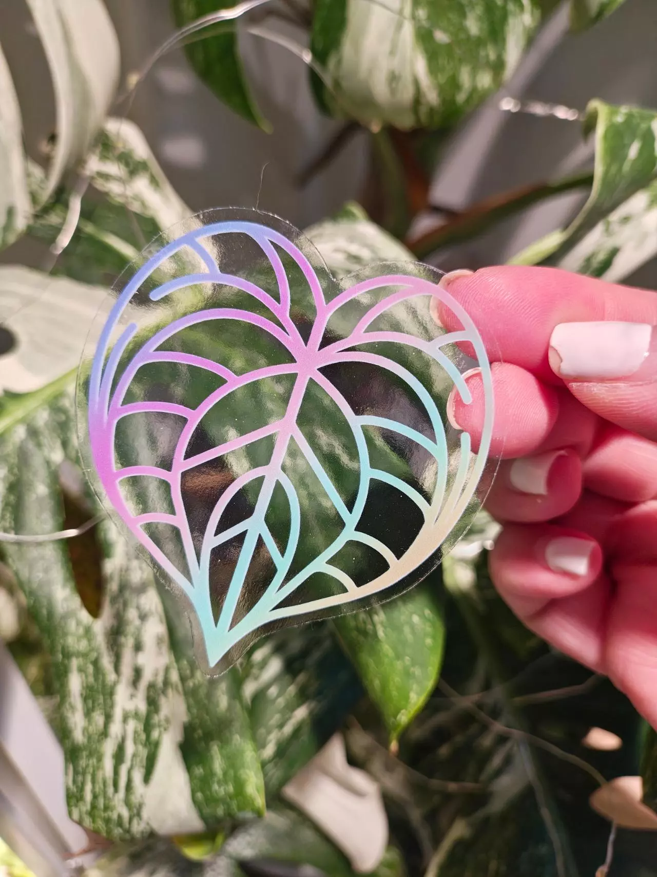 plant/Rainbow Anthurium 💜 transparent UV and Waterproof Sticker-0