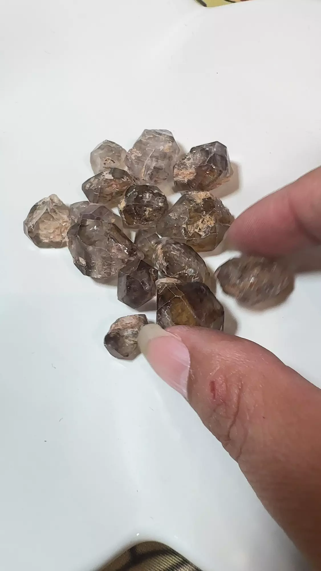 plant/One Tanzanian Double Terminated Quartz-0