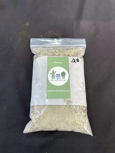 plant/2lbs of all natural Pumice-0-thumbnail