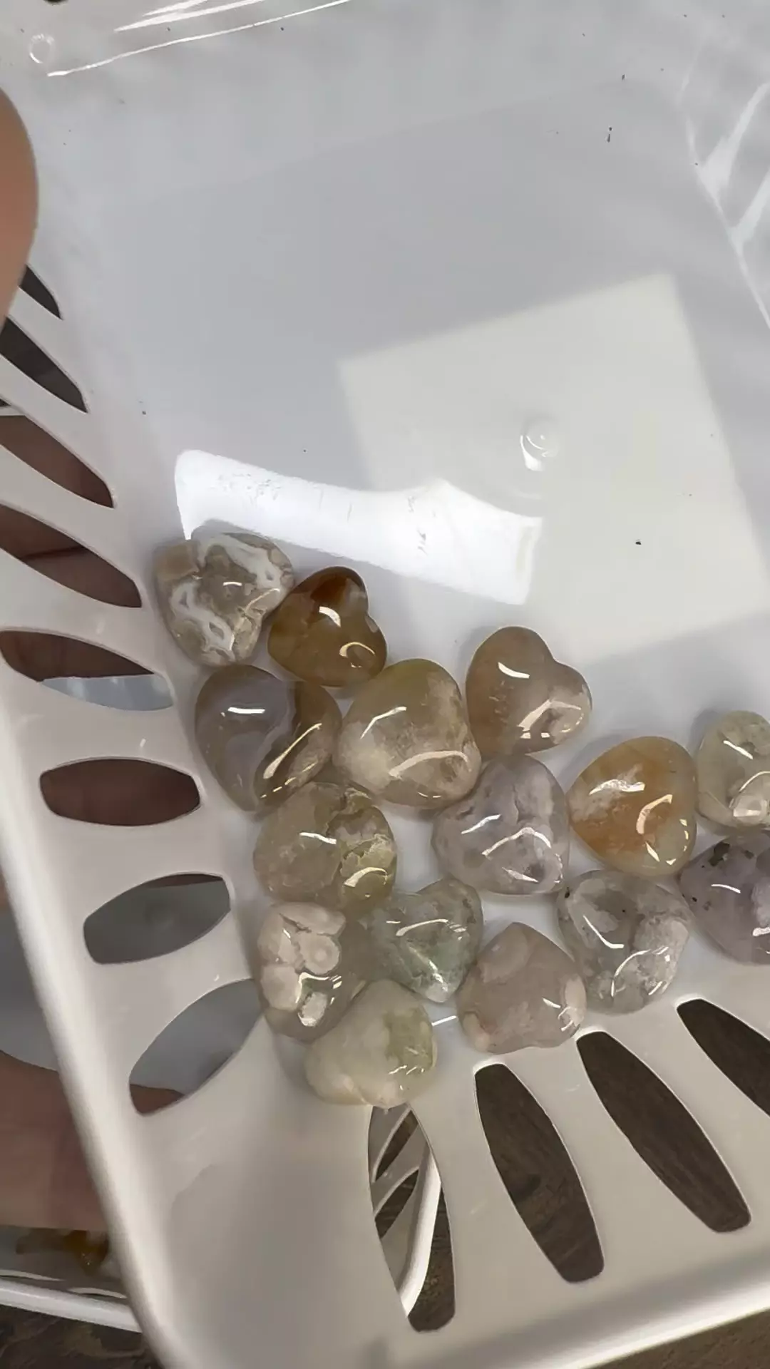 plant/$6|#3048 Flower Agate Heart - Mini-0