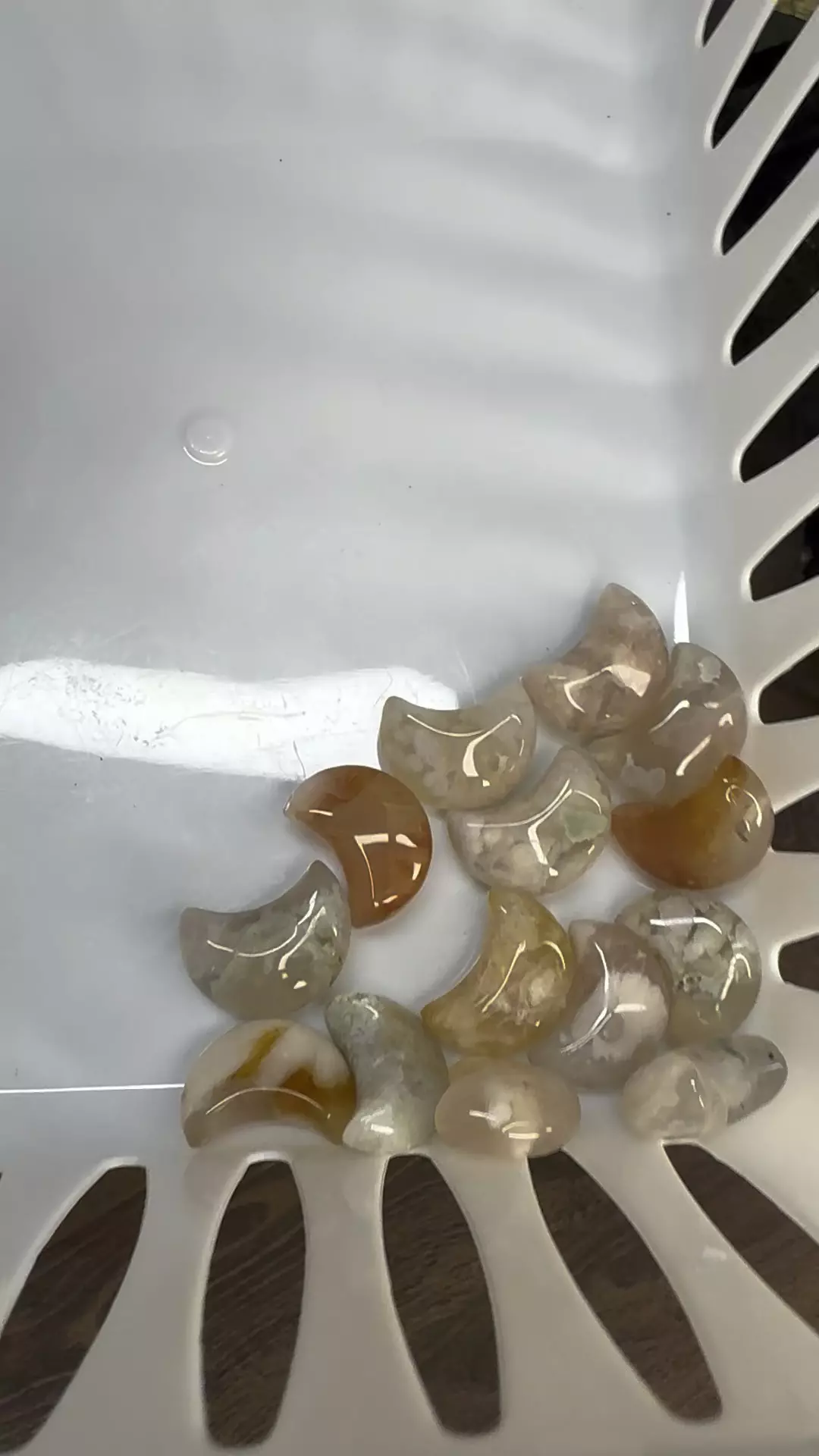 plant/$6|#3047 Flower Agate Moon - Mini-0