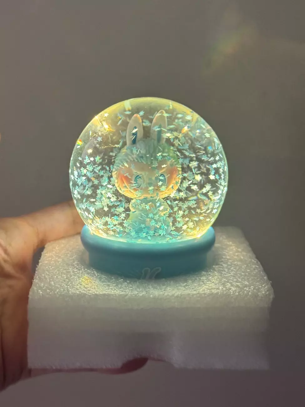 plant/Confirmed Hope LABUBU Snow Globe-0