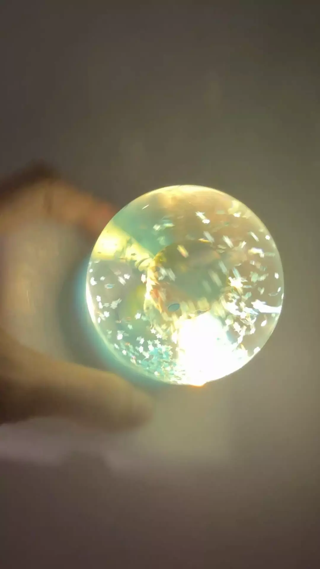 plant/Confirmed Hope LABUBU Snow Globe-1