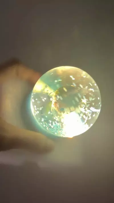 plant/Confirmed Hope LABUBU Snow Globe-1-thumbnail