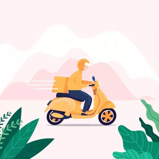 plant/Next DAY SHIPPING-0