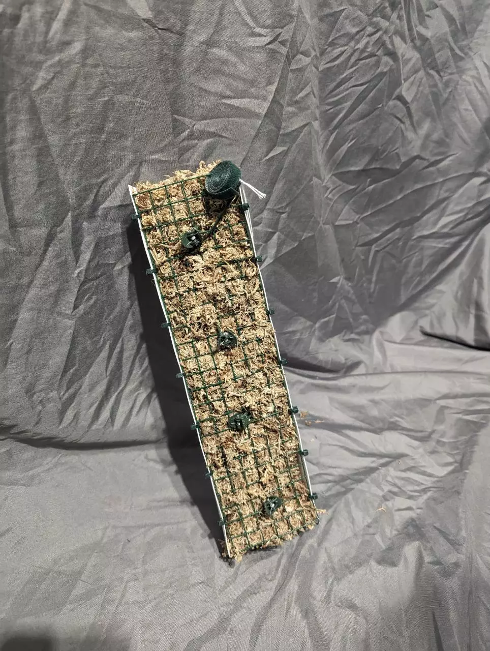 plant/12 Inch D Shaped Moss Pole-0