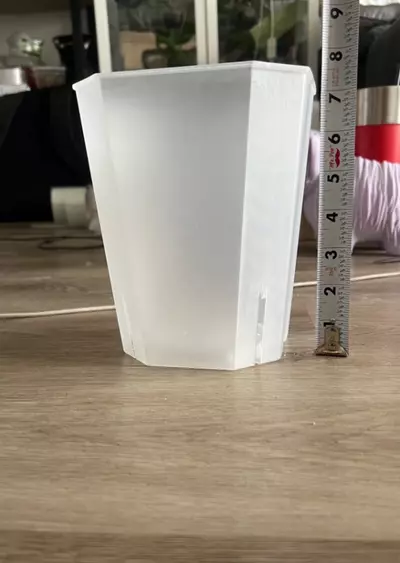 plant/6” pots - set of 15-0-thumbnail