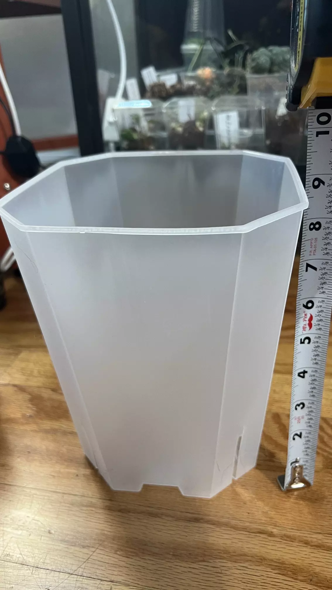 plant/7” pot - set of 5-1