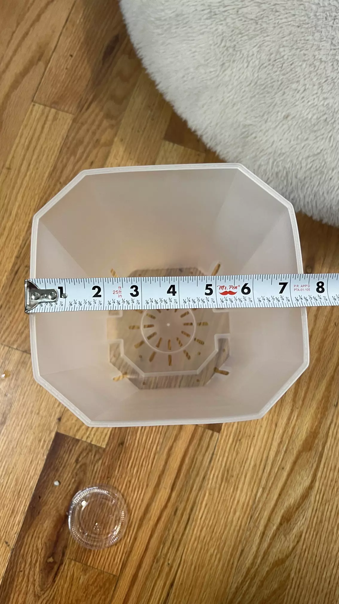 plant/7” pot - set of 5-0