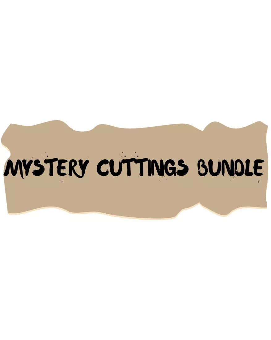 plant/Mystery Cuttings Bundle-0