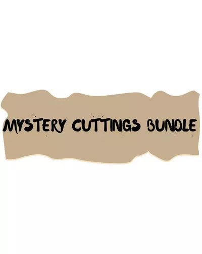 plant/Mystery Cuttings Bundle-0-thumbnail
