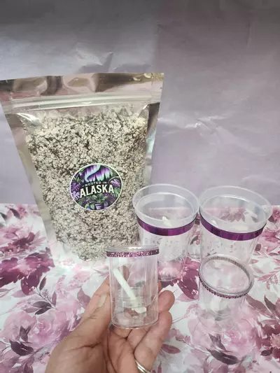 plant/Alocasia planting bundle. Purple-0-thumbnail