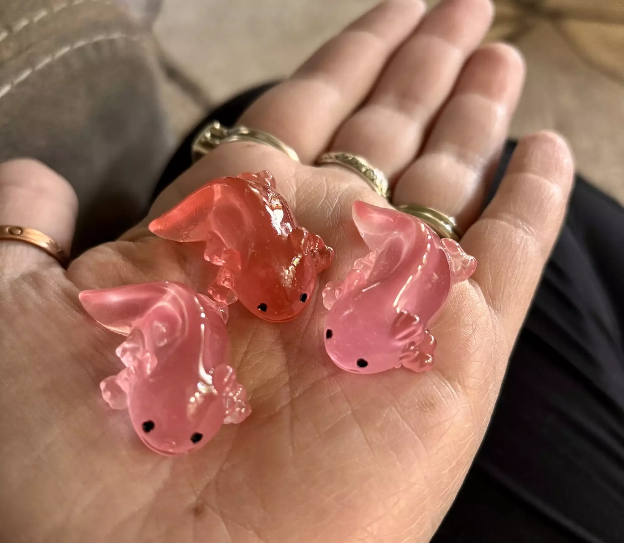 plant/Pink Axolotl-0