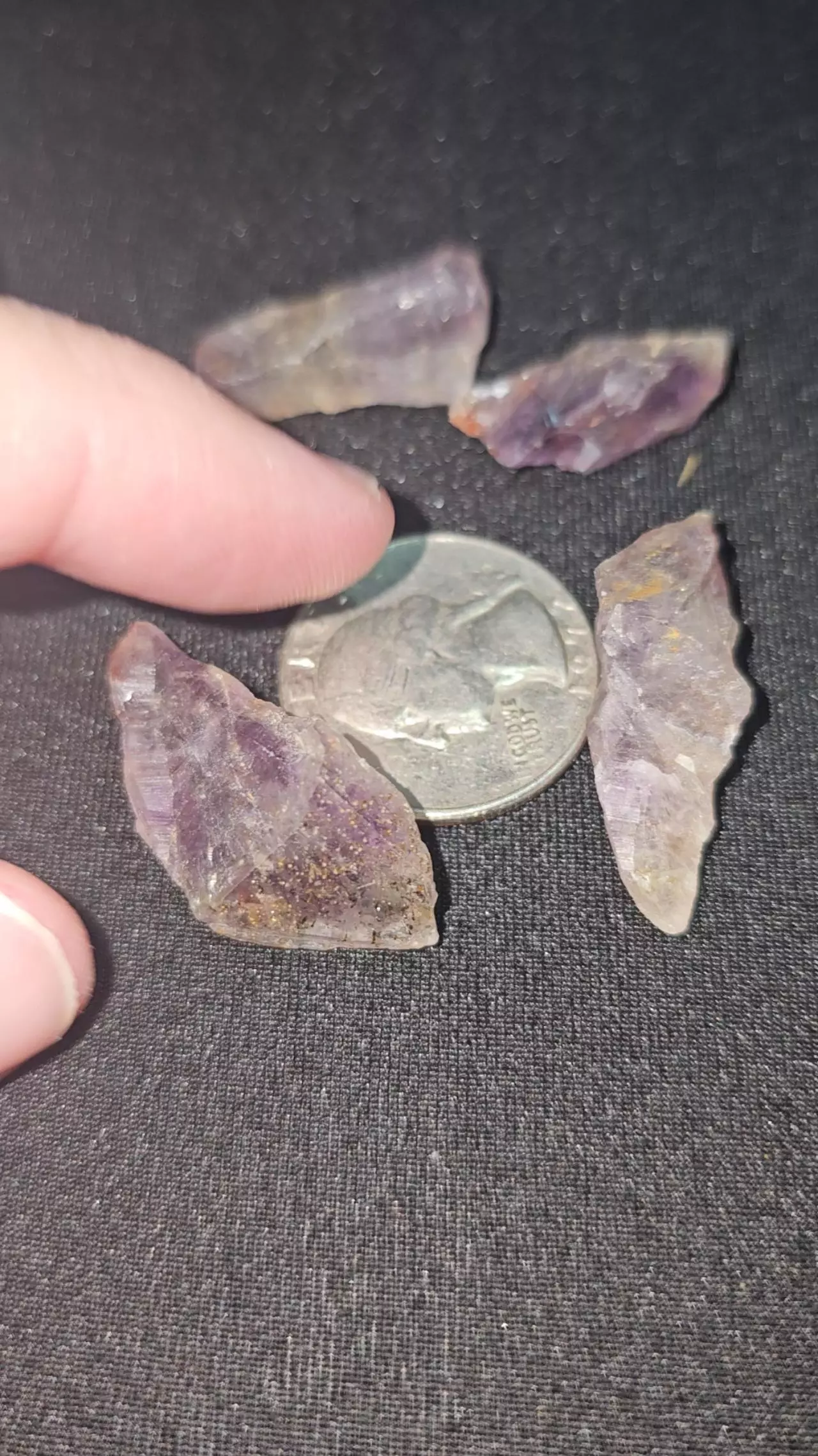 plant/Aurolite 23, 5 Pieces from Canada-0