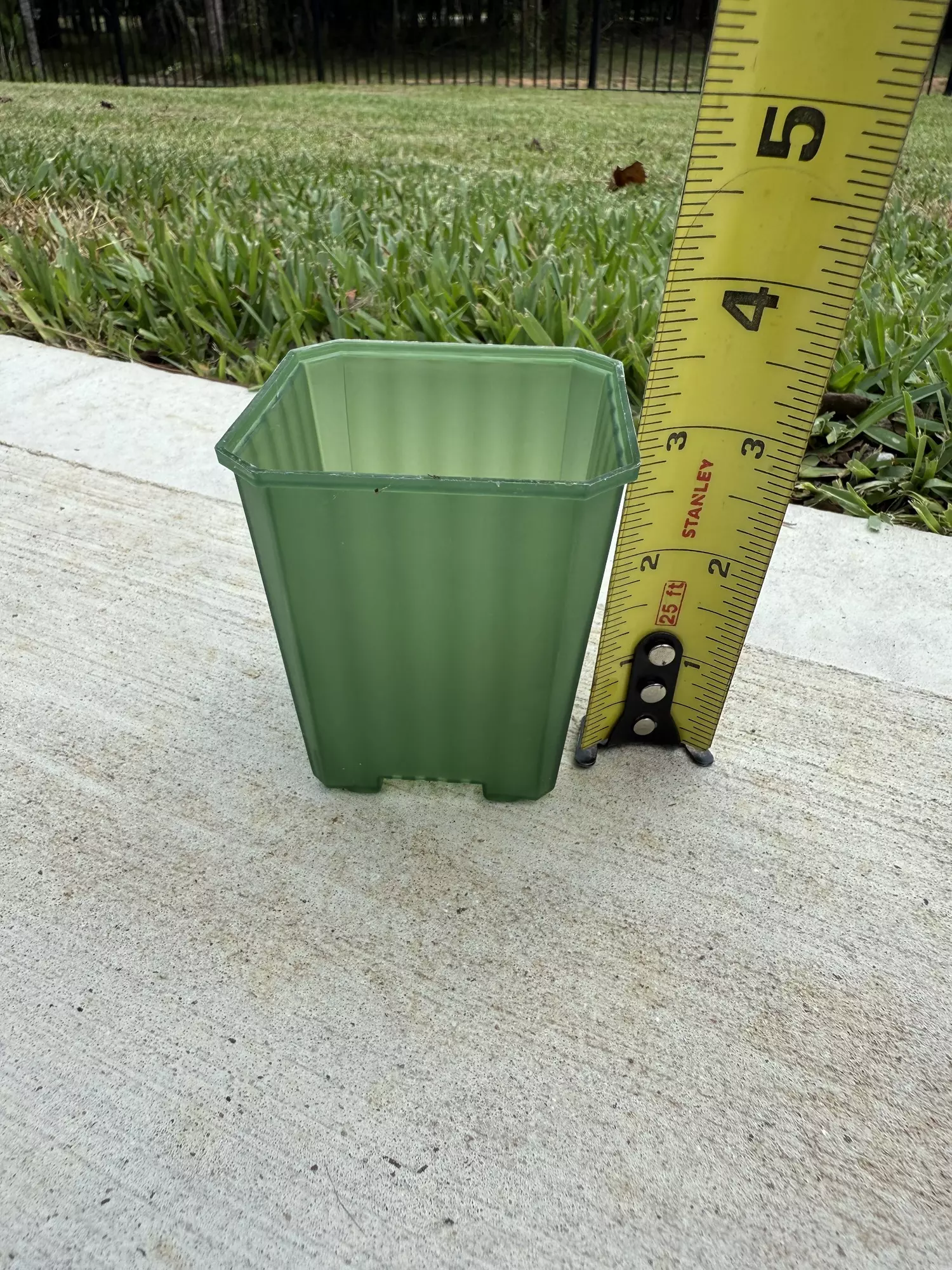 plant/2.5” SEE THRU GREEN POT-1