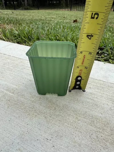 plant/2.5” SEE THRU GREEN POT-1-thumbnail