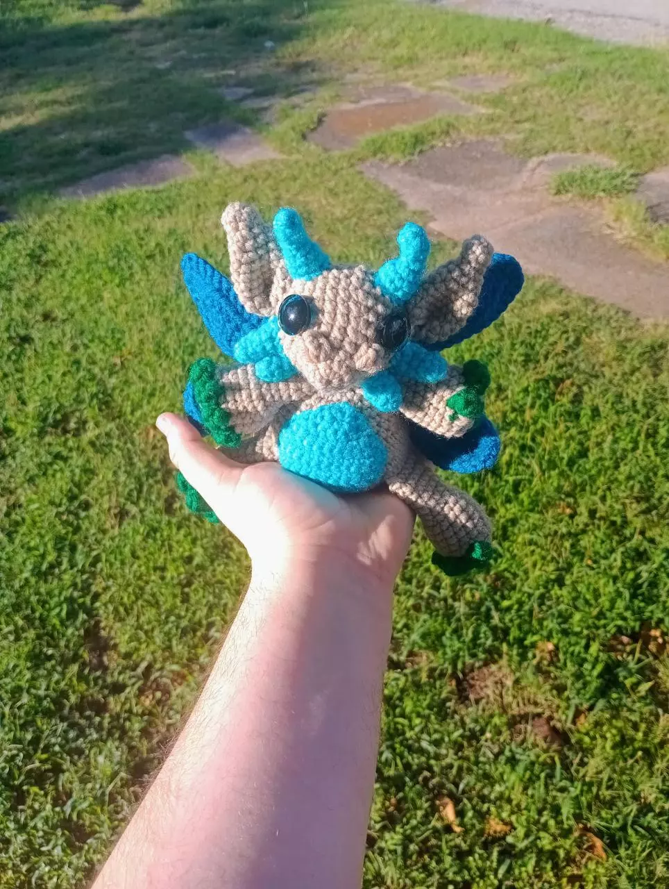 plant/DRAGONFLY DRAGON -0